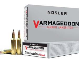Nosler .17 Remington Fireball Flat Base Tipped 20 grain Brass 300 round