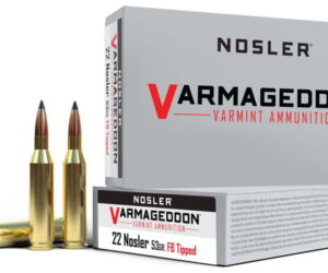 Nosler .22 Nosler Flat Base Tipped 53 grain Brass Cased 500 rounds